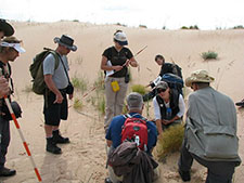 Photo of Athabasca Sand Dunes Provincial Park Fieldwork