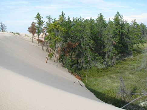 Photo of Athabasca Sand Dunes