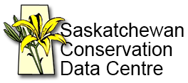 Saskatchewan Conservation Data Centre Logo
