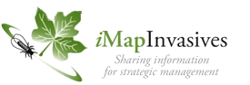 iMap Invasives Logo